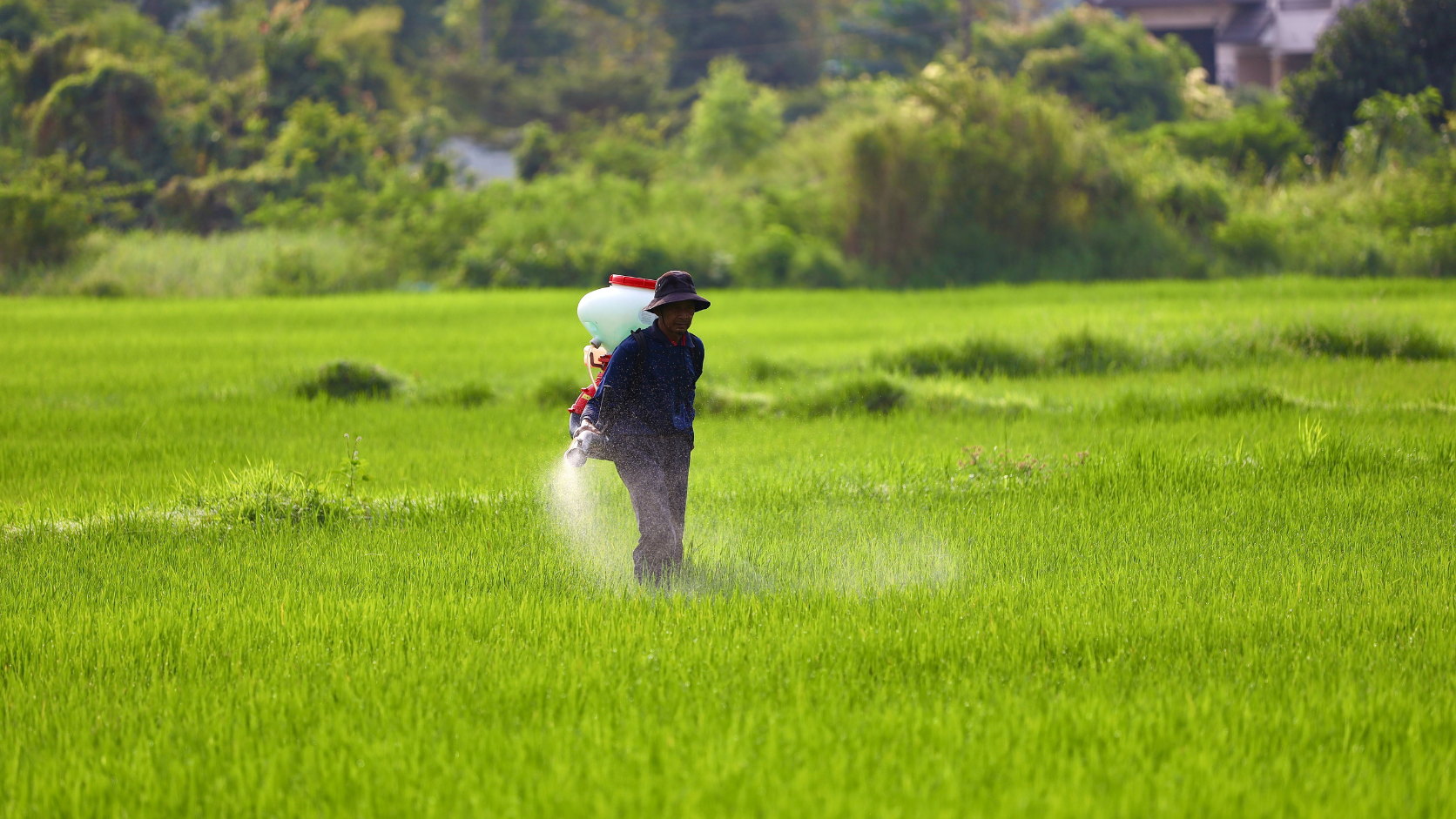 Kam naudojamas monoetanolaminas agrochemijose?